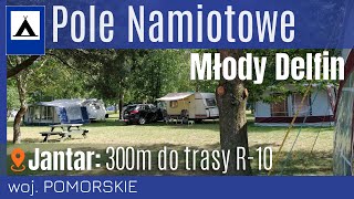 🏕️🌲Pole Namiotowe Młody Delfin  Jantar tuż przy trasie rowerowej R10 [upl. by Mongeau]