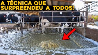 PORQUE ESTÃO JOGANDO MUITA ÁGUA EM VACAS LEITEIRAS [upl. by Thordis580]