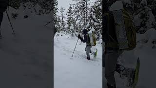 Snowshoeing near Blewett Pass 1202024 washingtonstate mountain snowshoeing snow [upl. by Schulein]