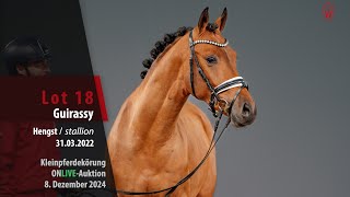 Kleinpferdekörung Lot 18 Guirassy Hengst v Golden Grey NRW  Kachunga [upl. by Orianna]