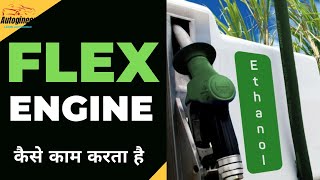 What are Flex Fuel Vehicles  How Flex Fuel Engine Works  Pro amp Cons  FFV Future in India  Hindi [upl. by Caressa]