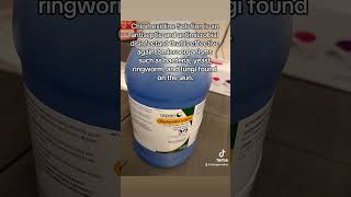 As a dog breeder Chlorhexidine is a must have for your dogs amp puppies [upl. by Joice777]