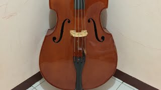 Strunal Doublebass [upl. by Suehtomit63]