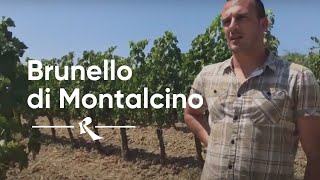 Brunello di Montalcino and its history with Federico Buffi from Baricci [upl. by Hsotnas874]