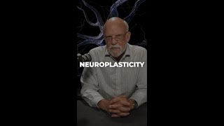 The 2 Types Of Neuroplasticity You Need To Know About [upl. by Weissmann]