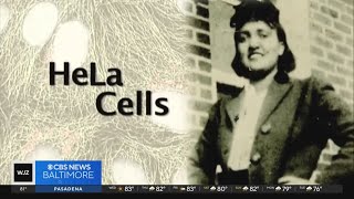 Henrietta Lacks family can proceed with lawsuit against Ultragenyx over HeLa cells [upl. by Sirak555]