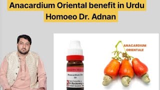 Anacardium Ori Benefits In Urdu  Homoeopathic Medicine Anacardium Ori Uses In Hindi [upl. by Ennaeerb]