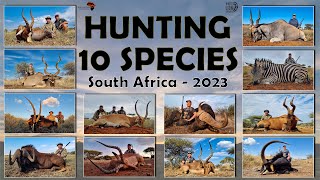 Hunting South Africa 12 animals 10 species with White Lion Safaris [upl. by Tildi978]