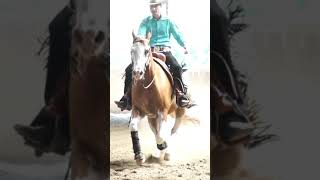 SPORT TV22 Spektakulärer Sliding Stop beim Reining  Westernreiten shorts [upl. by Yemaj]