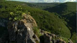 Le Tarn et Garonne au fil de vos envies [upl. by Einobe]