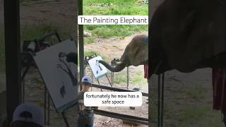 The Painting Elephant🐘 shortvideo animals rescue drawing [upl. by Marcoux168]