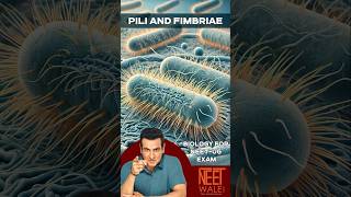 Pili amp Fimbriae  Biological Classification  Kingdom Monera  Class 11th  NEET BIOLOGY  neet [upl. by Ogaitnas350]