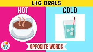 LKG Orals  बच्चों का Oral Practice किस तरह से लें  Opposite Words  Rachit shorts ytshorts [upl. by Nahc]