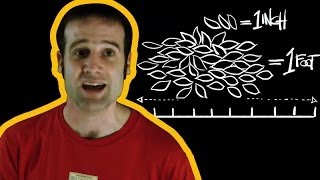 A Guide to Imperial Measurements with Matt Parker  Earth Science [upl. by Aedrahs534]