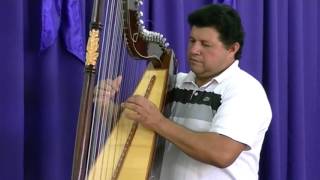 Instrumental arpa himnos cristianos  Carlos Alverto Diaz en Puerta de la fé 23 11 2014 [upl. by Wsan246]