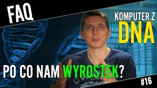 Po co nam wyrostek i czy można zbudować komputer z DNA  FAQ 16 [upl. by Kletter]