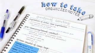 how to take organized notes amp study effectively  christylynn [upl. by Ahsiuqet]