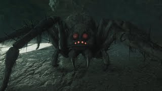 Boss Battle Acromantula in Quest Search for Tobbs  Hogwarts Legacy [upl. by Eisnil]