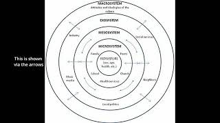 Ecological System Theory Explained In ONE MINUTE shorts psychology [upl. by Ellon780]