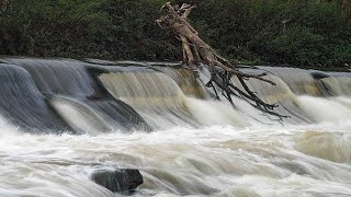 doncaster falls doncaster [upl. by Vandyke427]