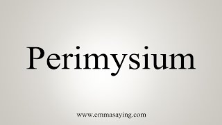 How To Say Perimysium [upl. by Agretha]