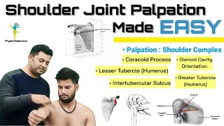 SHOULDER JOINT PALPATION  IMPROVE YOUR PALATORY ASSESSMENT SKILLS [upl. by Lepley]