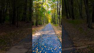 Canopied Walk [upl. by Ecnadnac805]