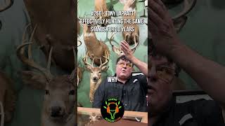 Dont shoot does out of your permanent stands deer deerhunting habitatmanagement archery [upl. by Akemyt]