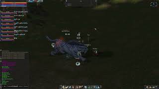 Raid Bosses EP18 Lineage 2 Elmorelab x1 Teon C4 28102024 [upl. by Aivata772]