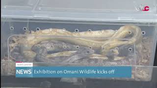 Exhibition on Omani Wildlife kicks off [upl. by Imoyn]