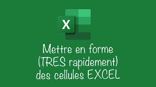 Mettre en forme TRES RAPIDEMENT des cellules EXCEL [upl. by Eerdna264]