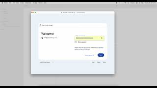 How to add custom domain Google Workspace eMail in Apple Mail [upl. by Einahpad466]