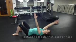 FMS Corrective Exercises Rotary Stability [upl. by Apur137]