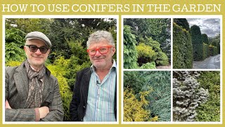 How to use conifers in the garden tips and ideas [upl. by Albin342]