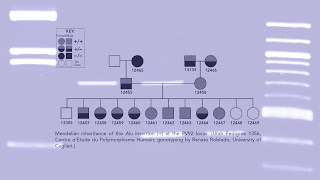 PV92  Jumping Genes Lead the Way [upl. by Nelloc259]