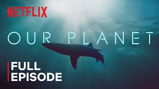 Our Planet  Coastal Seas  FULL EPISODE  Netflix [upl. by Sirahc521]