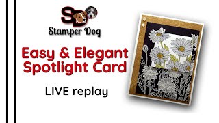 🔴Easy and Elegant Spotlight Card [upl. by Mohkos765]