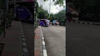 Bus terbaru po sahallah shrots [upl. by Nisa]