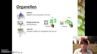 Organen en cellen  Plantaardige cellen [upl. by Siuraj]