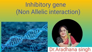 Inhibitory gene Non Allelic interaction [upl. by Kurtzman]