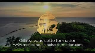 Formation en Médecine traditionnelle Chinoise [upl. by Guise]