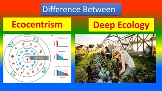 Difference Between Ecocentrism and Deep Ecology [upl. by Franci]