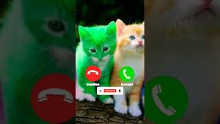 Cute ringtone Abe Yaar ringtone SMS ringtone Call ringtone Message ringtone notification ringtone 🎶 [upl. by Aileen]