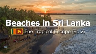 10 Best Beaches in Sri Lanka  EastSouthWest Coast Tropical Escape 2 [upl. by Lecroy]