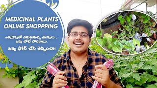 ఒక్క ఫోన్ కాల్ తో ఇంటికే Medicinal Plants  ఏ నర్సరీ కి వెళ్ళకుండానే సులువుగా తెప్పించుకోండి [upl. by Dett]