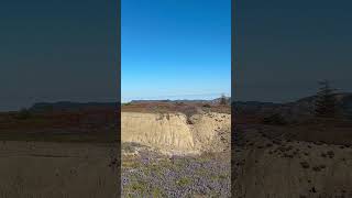 Mt St Helens in Washington [upl. by Devan]