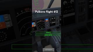 Pulkovo flight 612 aviation pilot russia planecrash plane [upl. by Itsa231]