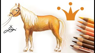 Haflinger Pferd zeichnen lernen mit Buntstiften 🐎 [upl. by Nwahs]