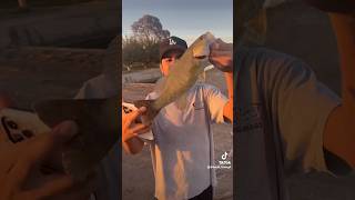 Great times Imperial valley fishing [upl. by Leeann]