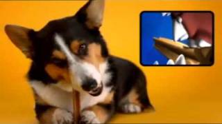 Pedigree DentaStix Werbung  quotDie Drittenquot [upl. by Ahsieket]